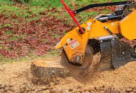 Best Tree and Shrub Care  in Woodbranch, TX